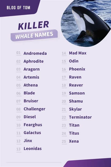 whaleofname|good names for killer whales.